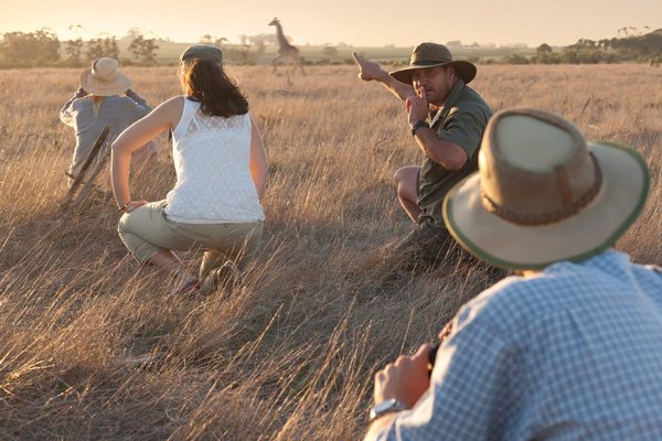 Quels sont les secrets pour des safaris abordables en Afrique du Sud ?